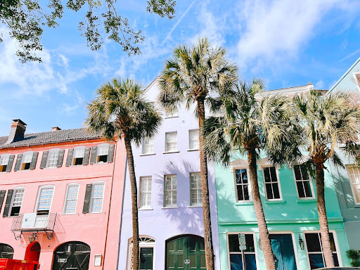  green palm tree near white and pink concrete building during daytime